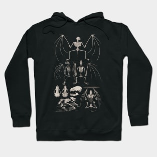 Bat Anatomy Hoodie